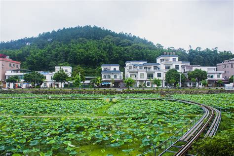 「如何前往花都紅山村，多重路途揖浮新世界之绚烂。」