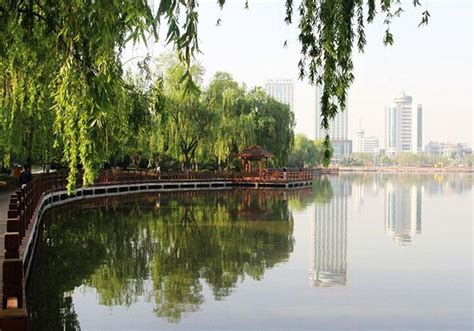 到南湖公園怎麼走，我們可以從不同的角度來探討這個問題。